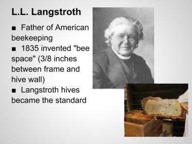 Image result for photo of 19th century bee hives